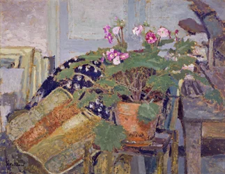 Pot of Flowers